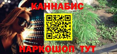 крисы Ирбит
