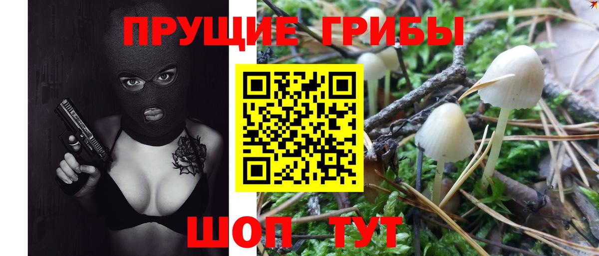 Псилоцибиновые грибы мухоморы  Вход с VPN  Лесной  Псилоцибиновые грибы Psilocybe 