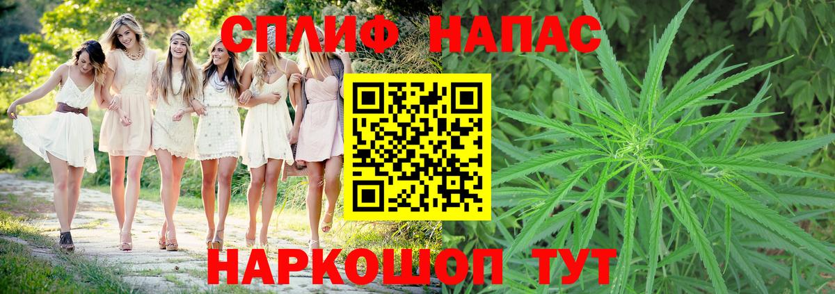 Марихуана сатива  Бошки Шишки Bruce Banner  Вход с VPN  Канабис White Widow  Лесной  Канабис семена 